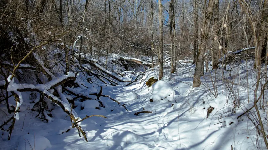 Lt0 Cth Xx, Viroqua, WI 54665 - #3