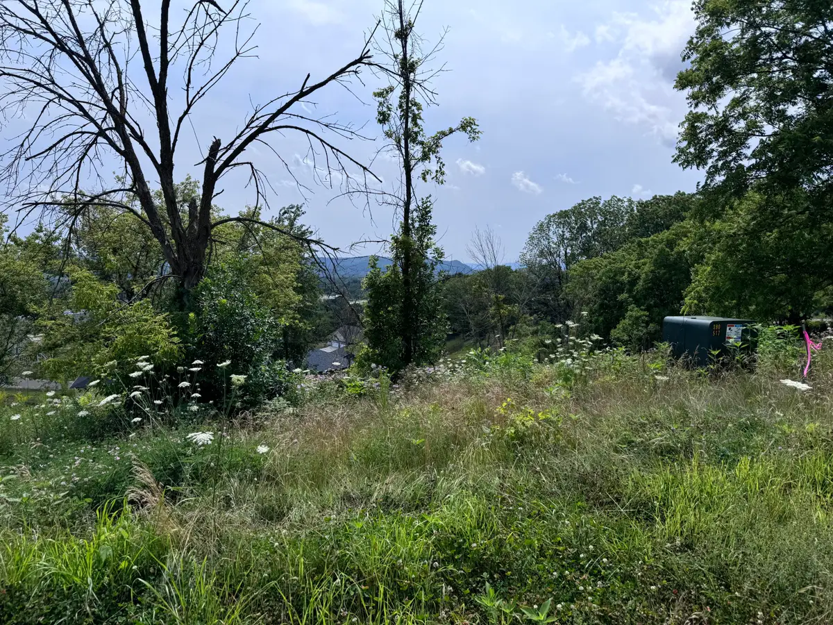 Lot 38 Madison Heights Dr, Onalaska, WI 54650 - #1