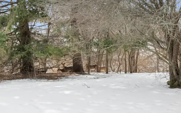 945 W Heritage Ct, Mequon, WI 53092