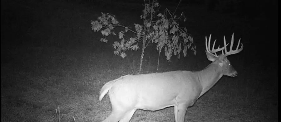 000 Bush Rd, Melrose, WI 54642 - #3