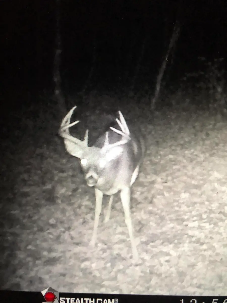 5766 Cambridge Rd, Little Falls, WI 54656 - #3