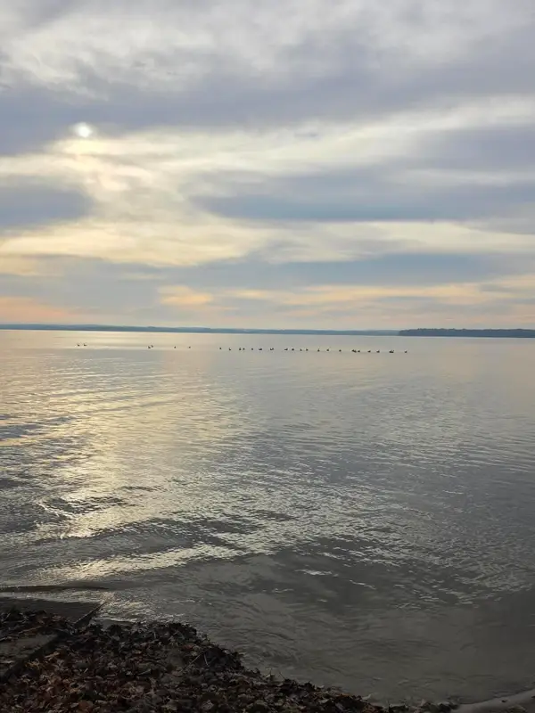 W9592 Lake Dr, Sumner, WI 53534