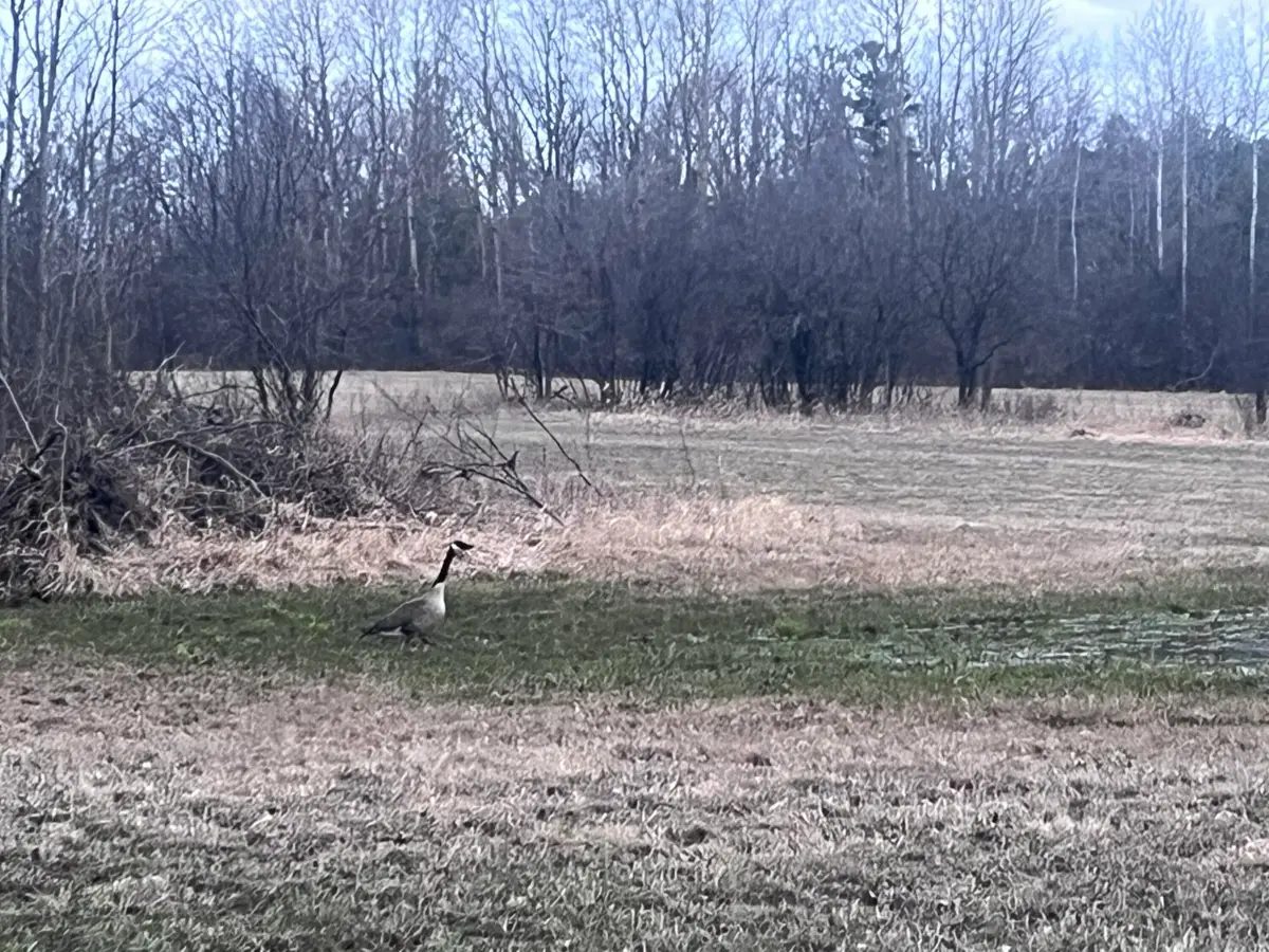 Lt2 Virginia Dr, Manitowoc, WI 54220 - #1