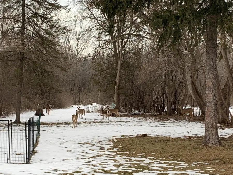 4426 Northwestern Ave, Mount Pleasant, WI 53405 - #2