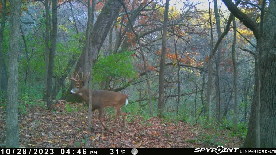 0 Theurer Ln, Glencoe, WI 54612 - #2