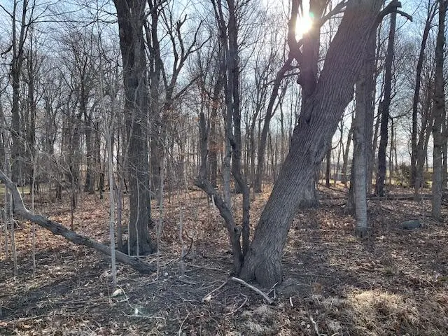 0 River Valley Rd, Ixonia, WI 53036 - #1