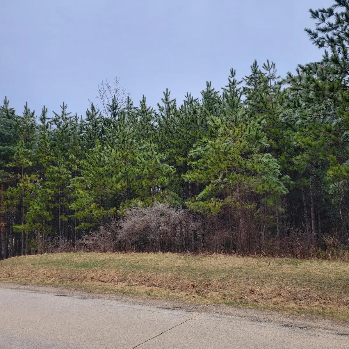 Lt1 Killarney Rd, Erin, WI 53027 - #1