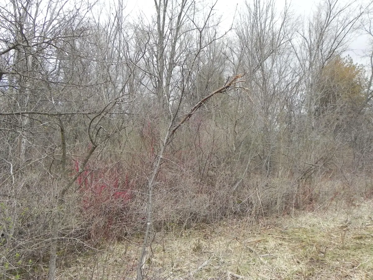 18180 W Dale Dr, New Berlin, WI 53146 - #1