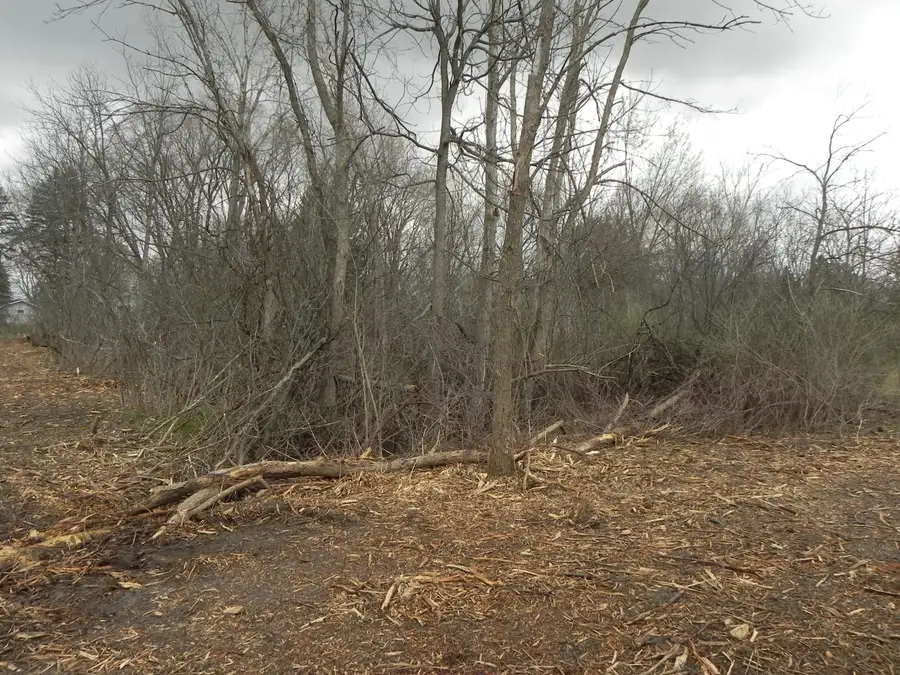 18180 W Dale Dr, New Berlin, WI 53146 - #3