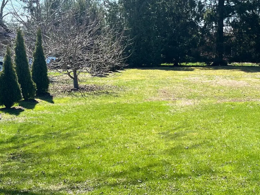 24 & 25 Hiawatha Dr, Eagle Lake, WI 53139 - #1