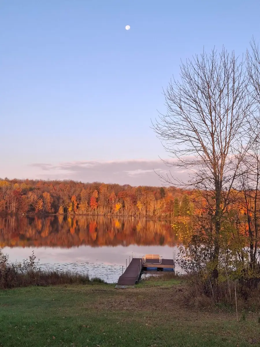 N7292 Apple Tree Ln, Westboro, WI 54490 - #3