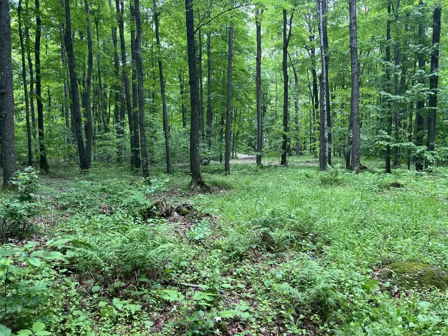 N3653 Grudgeville Rd, White Lake, WI 54491 - #2