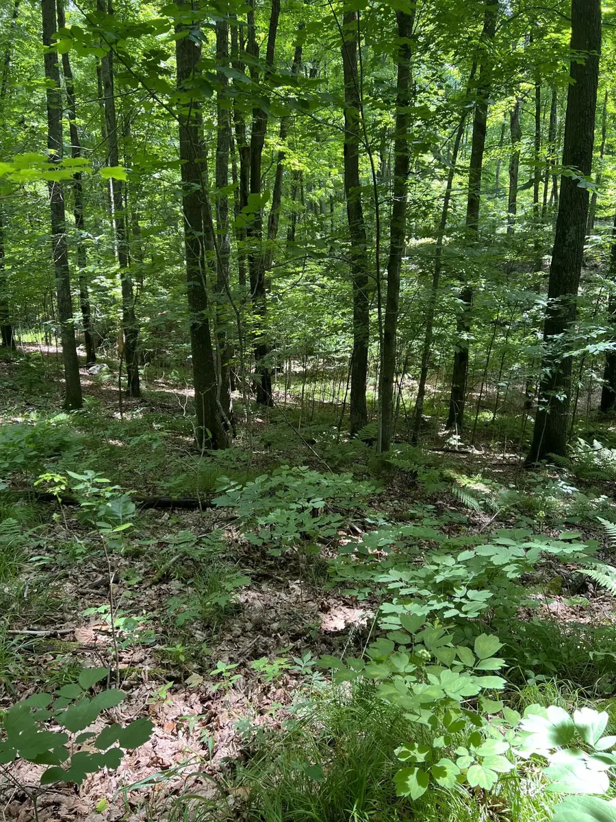 N3653 Grudgeville Rd, White Lake, WI 54491 - #3