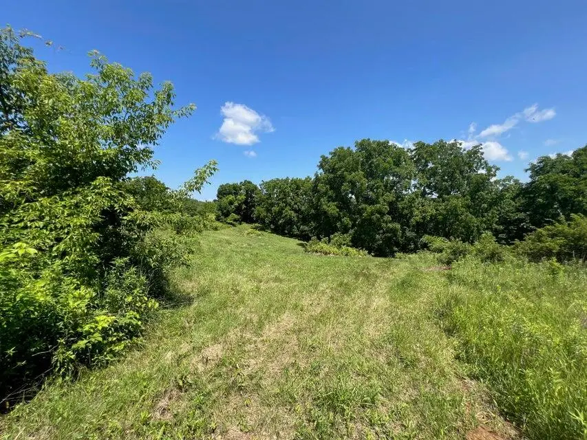 000 Skyview Ln, Eastman, WI 54626 - #3