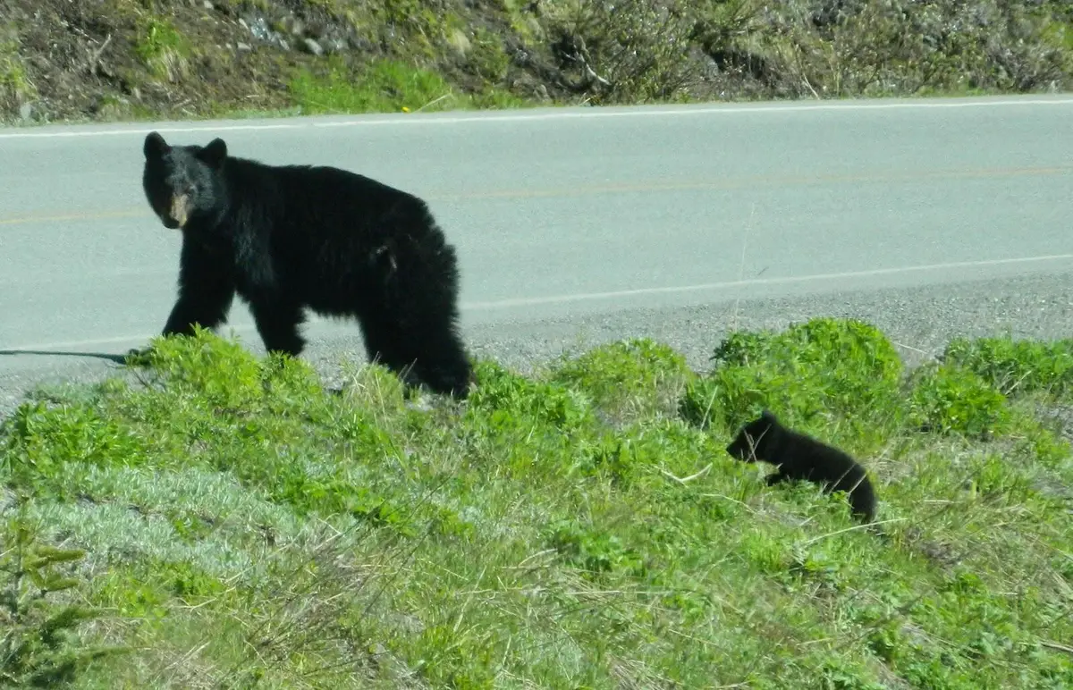 Lt4 Parkway Rd, Crivitz, WI 54114 - #1