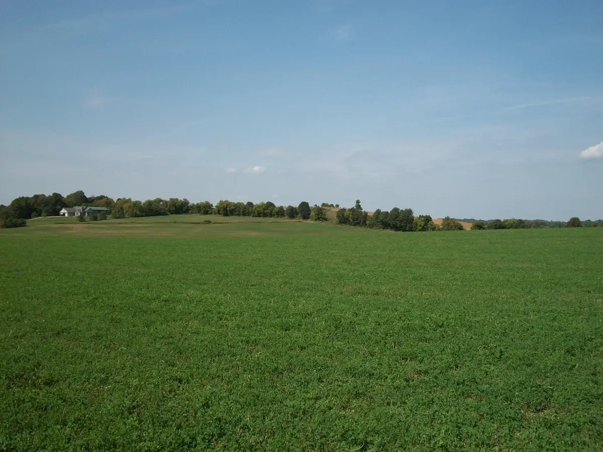 Lt1 Wilson Dr, Allenton, WI 53002 - #1