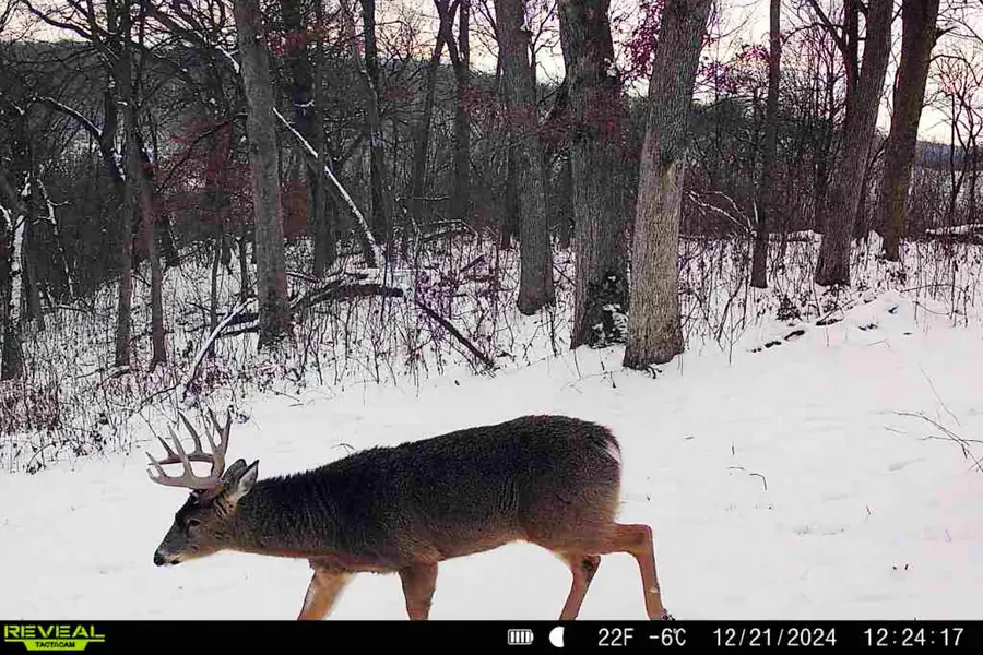 Lt0 County Road C, Spring Green, WI 53588 - #3