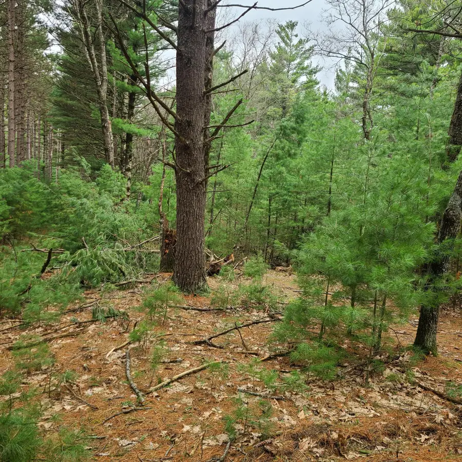 Lot 1 Fawn Ln, Hancock, WI 54943 - #3