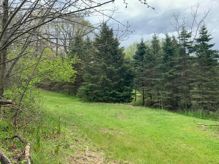 N76W28065 Center Oak Rd, Merton, WI 53029 - #3