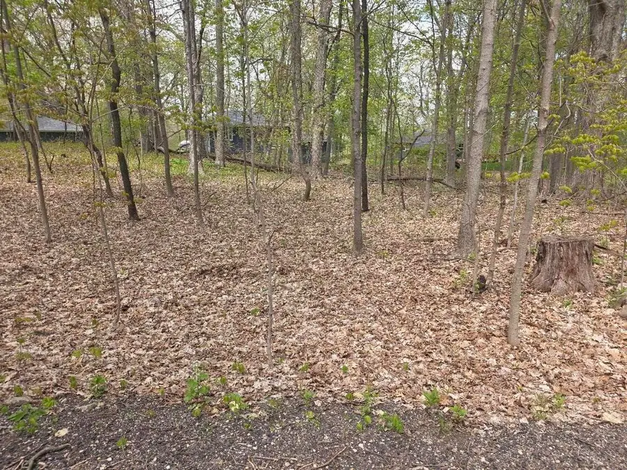 Lt19 & 20 Forest Dr, Geneva, WI 53147 - #2