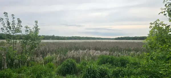 Lt7 Shore Ln, Sugar Creek, WI 53121
