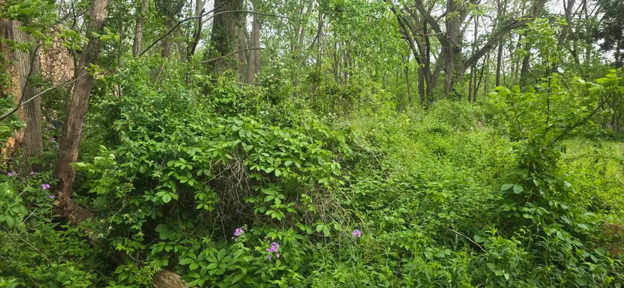 Lt7 Shore Ln, Sugar Creek, WI 53121 - #2