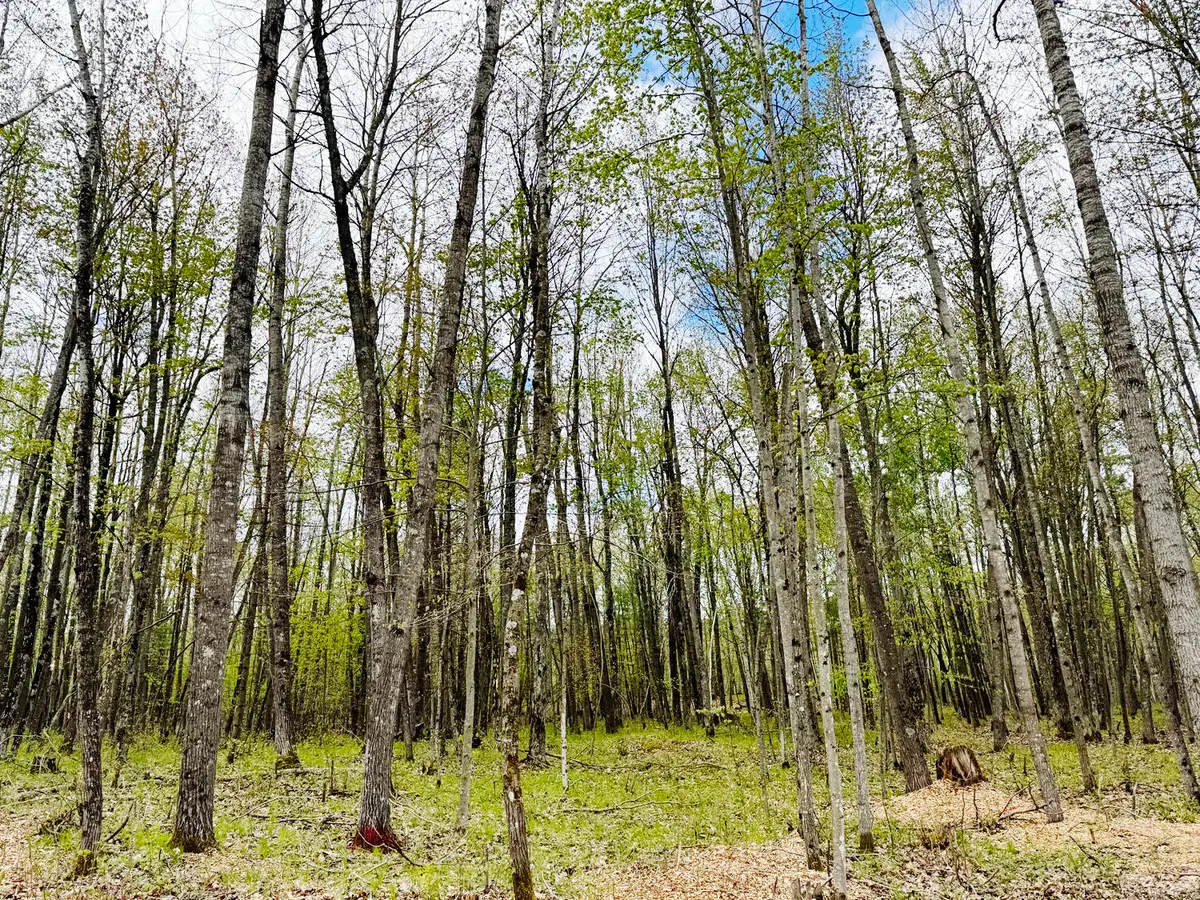 Lt4 Carrie Ln, Beaver, WI 54114 - #1