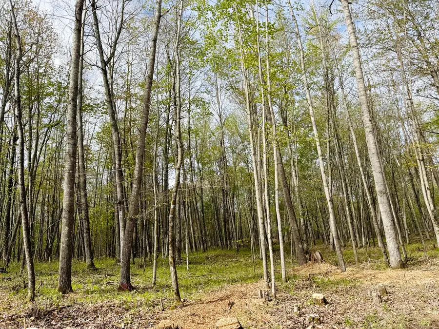 Lt4 Carrie Ln, Beaver, WI 54114 - #2