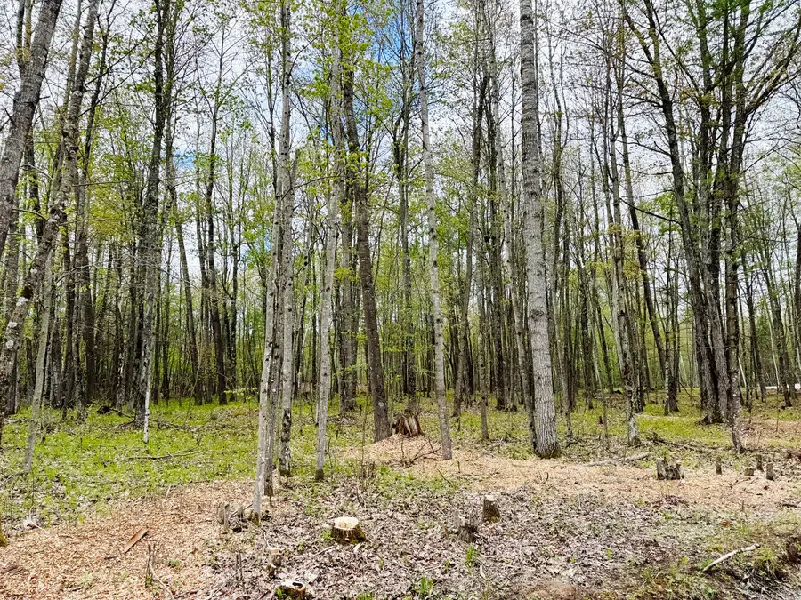 Lt4 Carrie Ln, Beaver, WI 54114 - #3