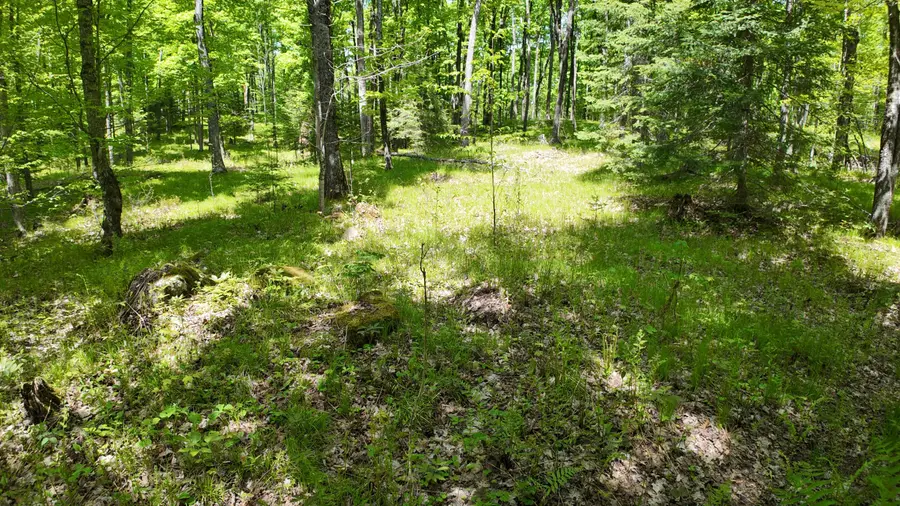 Lot 1 Federal Forest Road 3903 Rd, Laona, WI 54541 - #2
