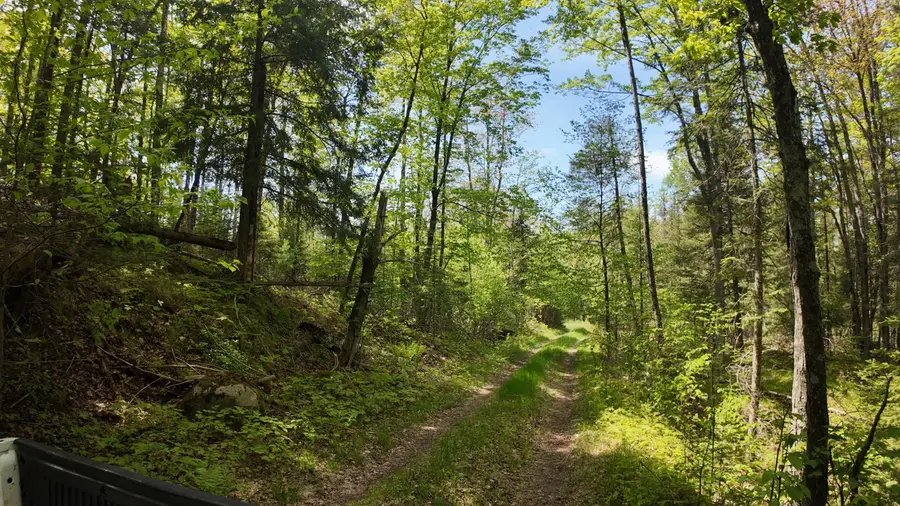 Lot 1 Federal Forest Road 3903 Rd, Laona, WI 54541 - #3