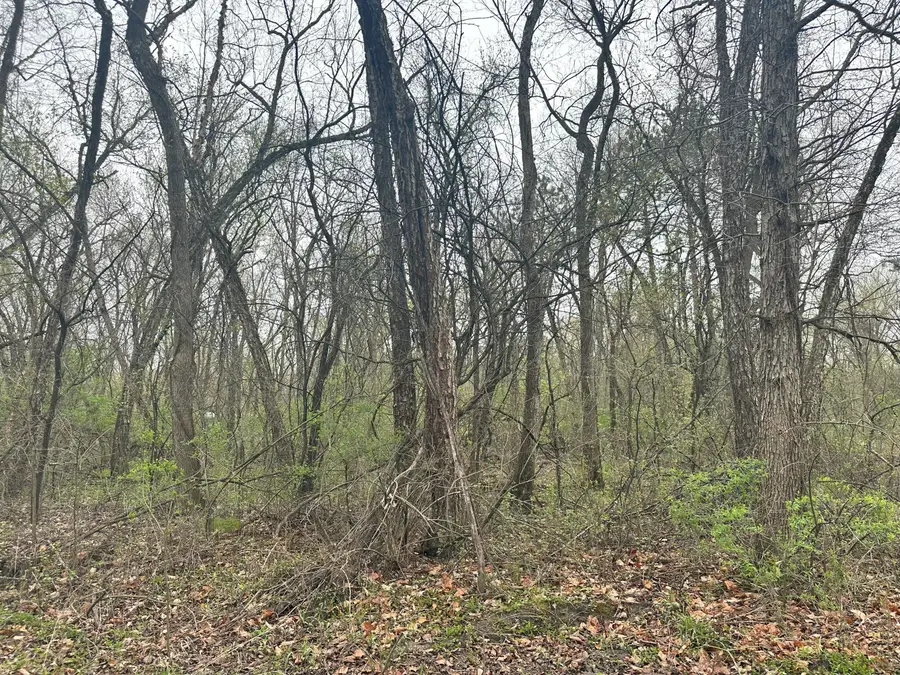Lot 0 Catfish Dr, Trempealeau, WI 54661 - #3