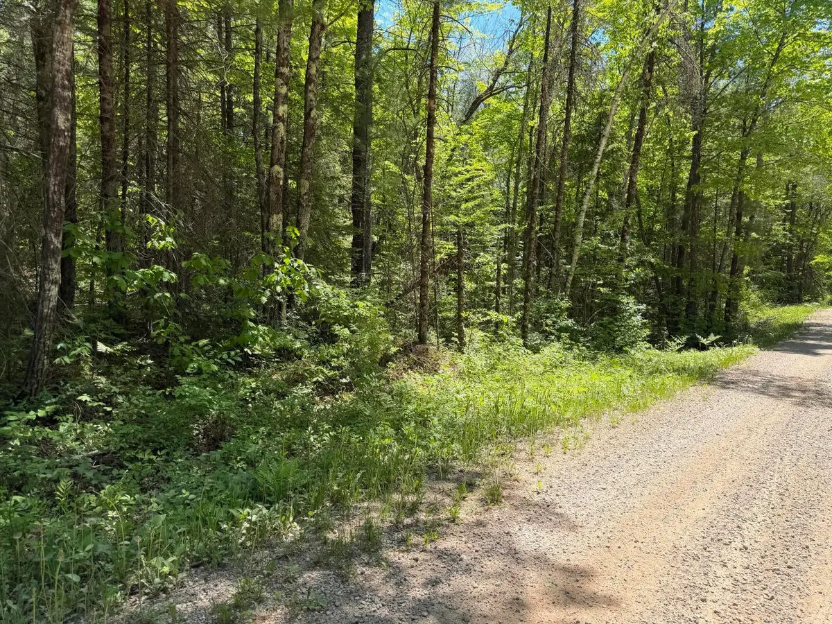 Lot1 Westberg Rd, Amberg, WI 54102 - #1