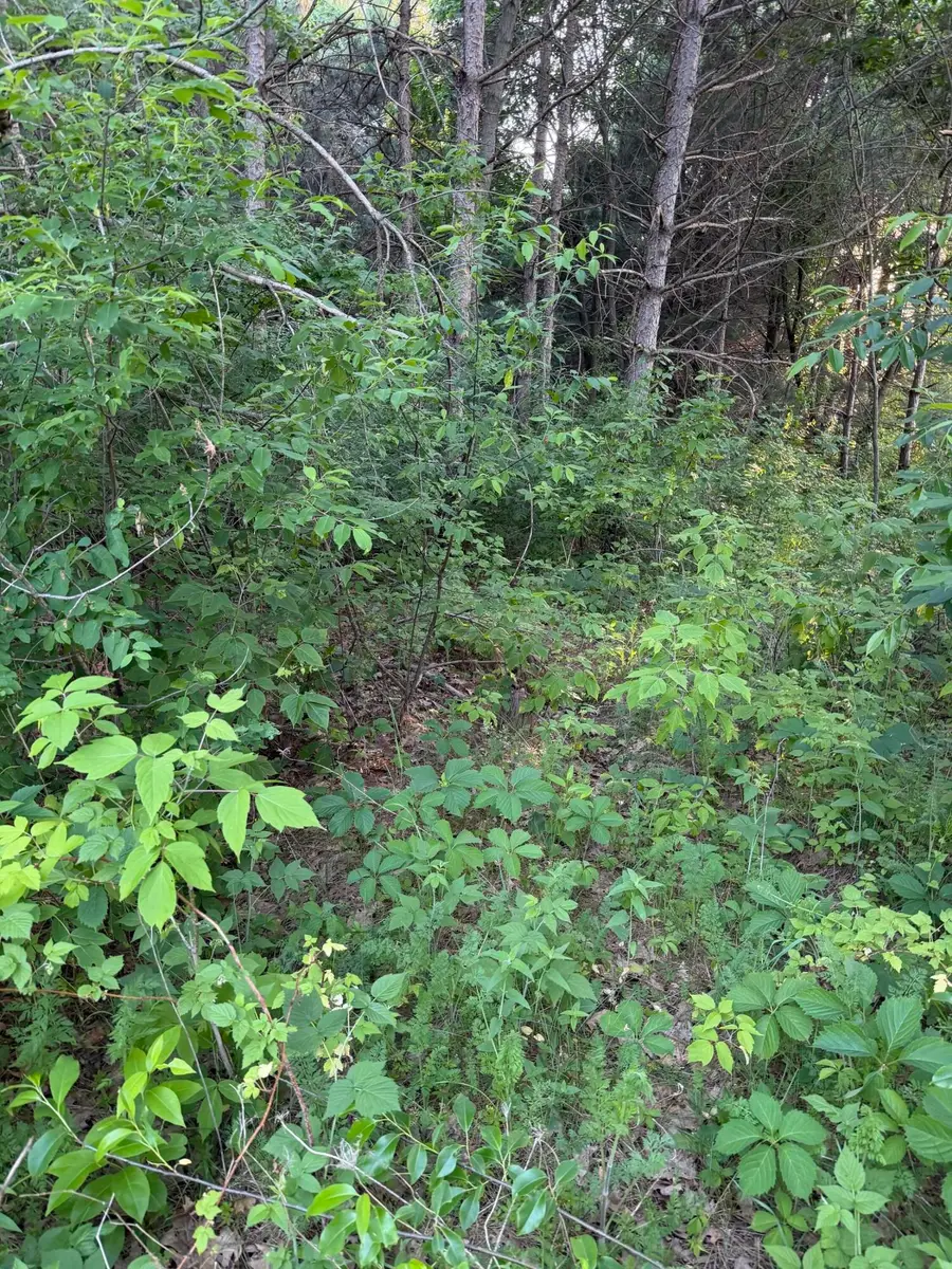 000 Culpitt Rd, Bangor, WI 54614 - #2