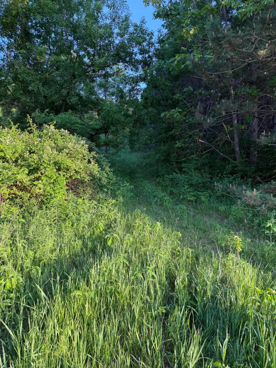 000 Culpitt Rd, Bangor, WI 54614 - #3