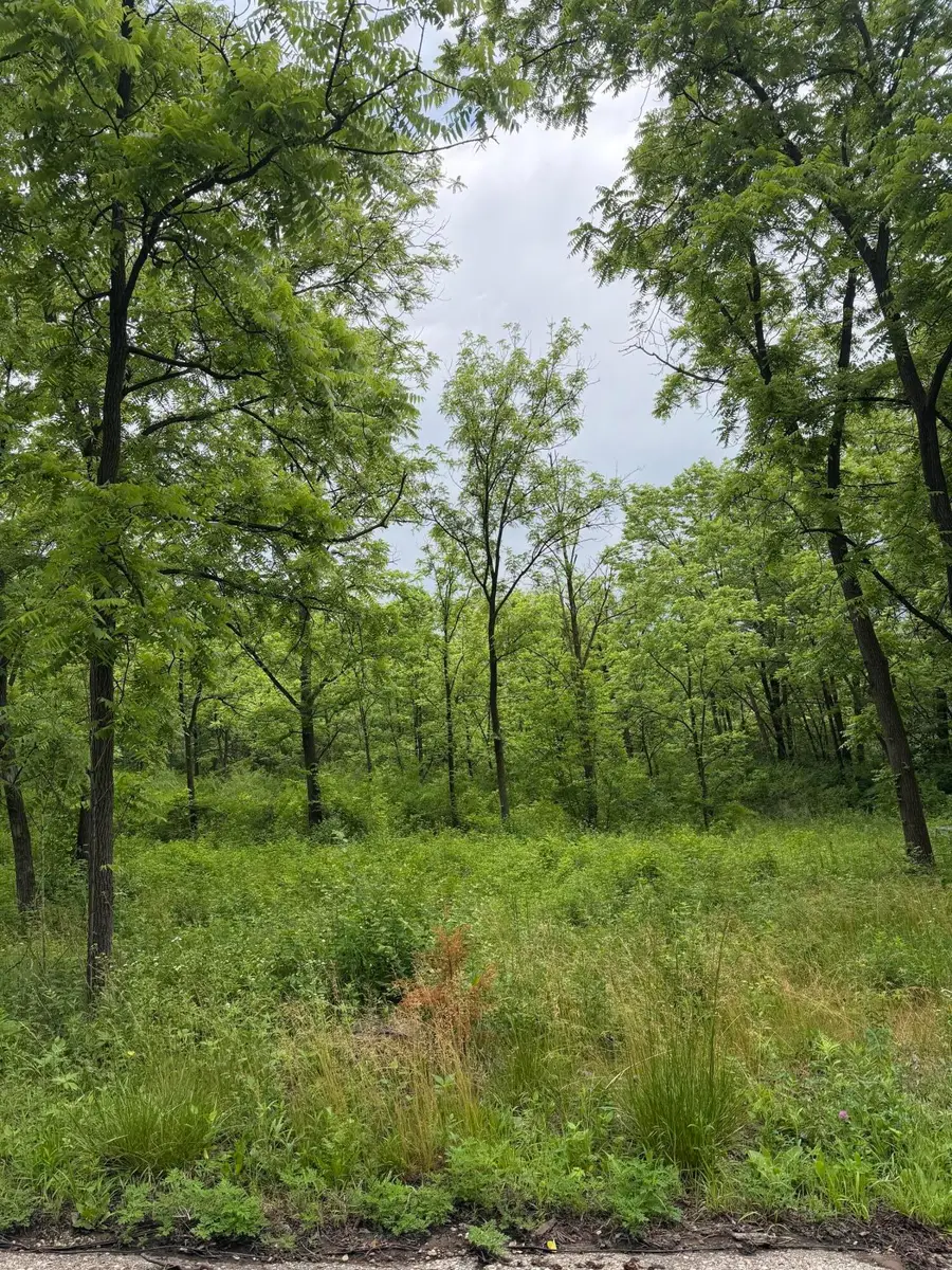 Lot 1 Krueger Rd, Geneva, WI 53147 - #2