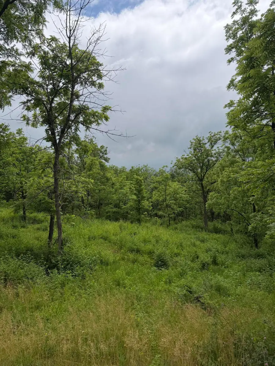 Lot 1 Krueger Rd, Geneva, WI 53147 - #3