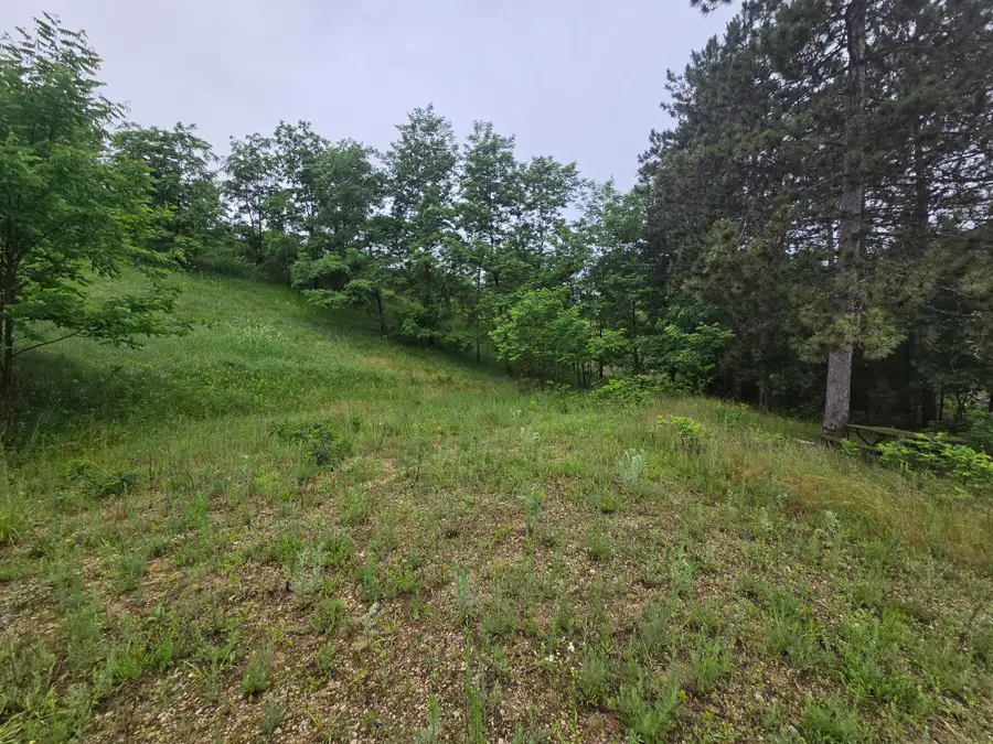 255 & 257 Blossom Dr, Warrens, WI 54666 - #3