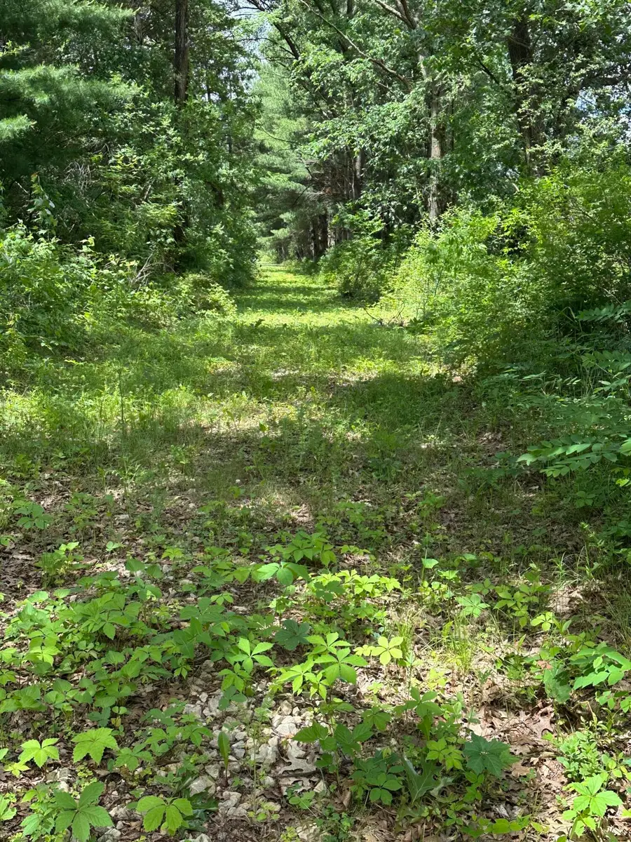 N9273 Perkins Rd, Farmington, WI 54644 - #2