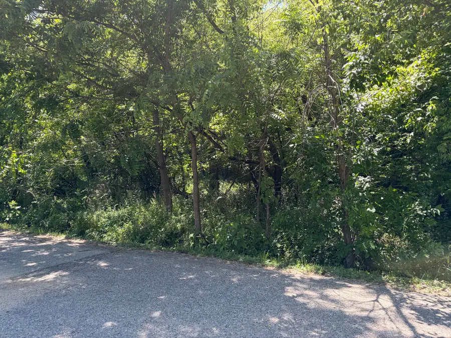 Lt3759 Vine Rd, Como, WI 53147 - #2