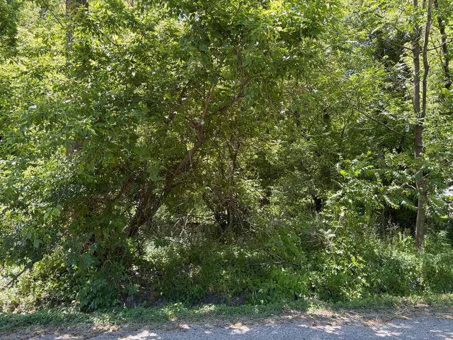 Lt3759 Vine Rd, Como, WI 53147 - #3