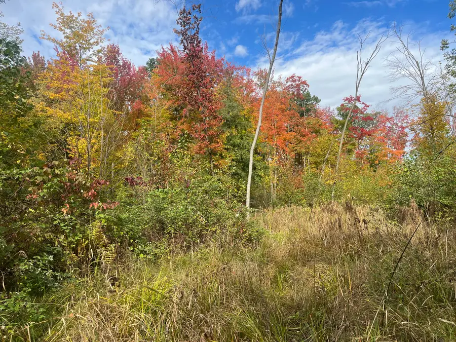 CTY Shawano Line Rd, Sevastopol, WI 54124 - #2