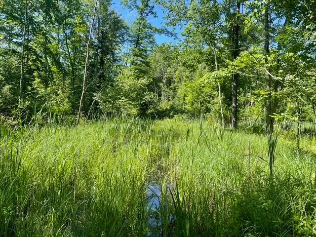 CTY Shawano Line Rd, Sevastopol, WI 54124 - #3