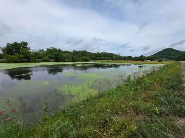 Lot 0 State Highway 35, Ferryville, WI 54628