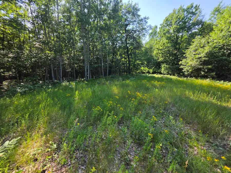 Lt0 Oak Ridge Rd, Amberg, WI 54102 - #2