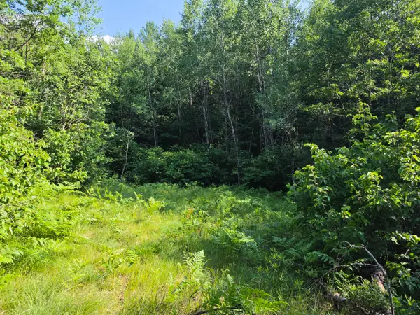 Lt1 Oak Ridge Rd, Amberg, WI 54102
