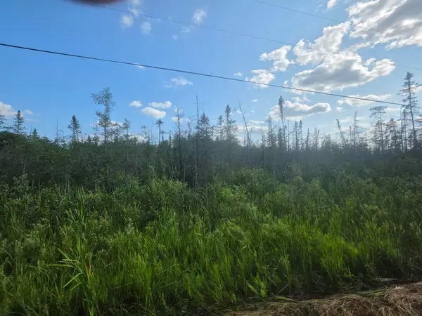 Lt0 Broennenberg Rd, Wagner, WI 54177