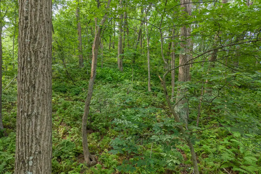 Lot 1 Hidden Valley Rd, Onalaska, WI 54636 - #2