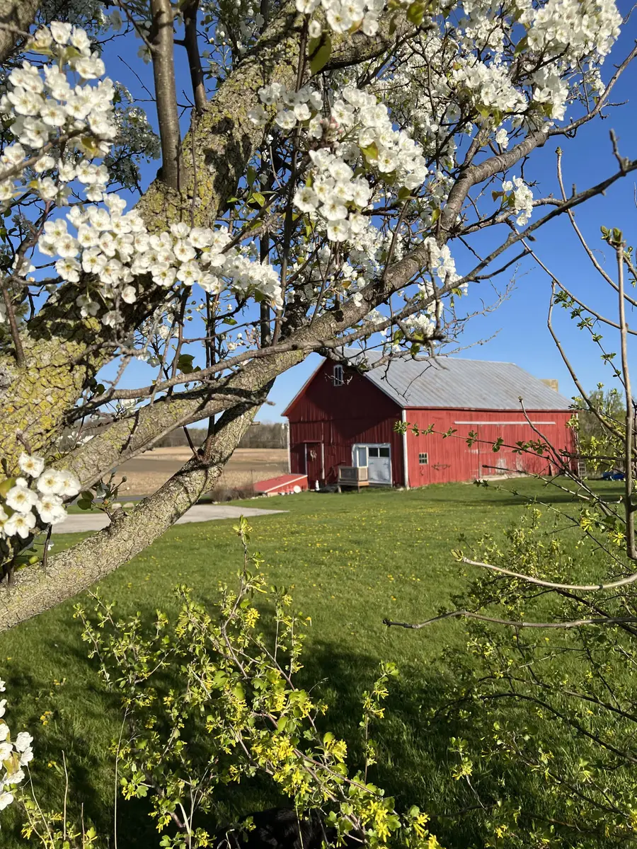 N2640 Bates Rd, Lyndon, WI 53011 - #2