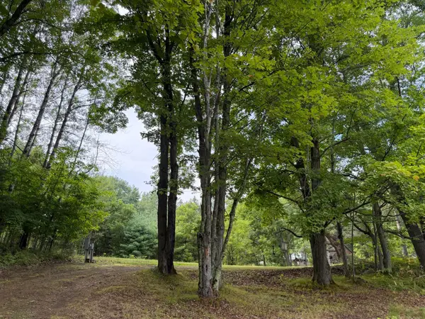 N14863 Lanfear Rd, Amberg, WI 54102
